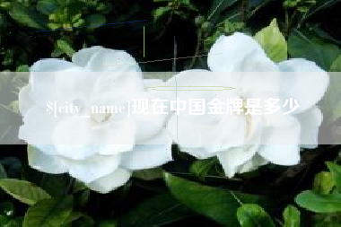 临猗现在中国金牌是多少