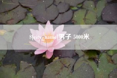 临猗男子 5000米