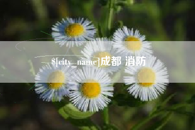 临猗成都 消防