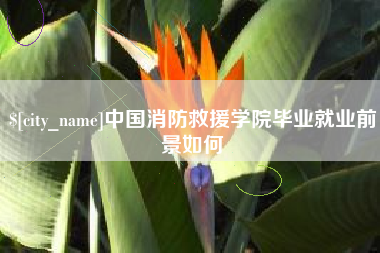 临猗中国消防救援学院毕业就业前景如何