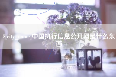 临猗中国执行信息公开网是什么东西
