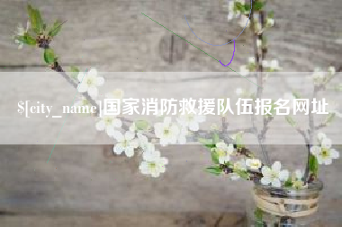 临猗国家消防救援队伍报名网址