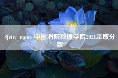 临猗中国消防救援学院2021录取分数