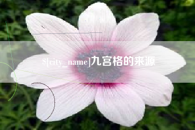 临猗九宫格的来源