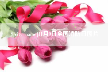 临猗11月9日全国消防日图片