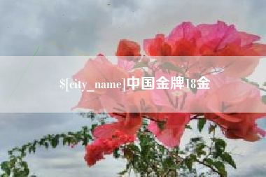 临猗中国金牌18金