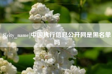 临猗中国执行信息公开网是黑名单吗