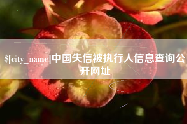 临猗中国失信被执行人信息查询公开网址
