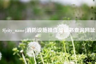 临猗消防设施操作员证书查询网址