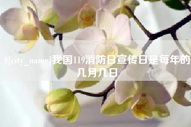 临猗我国119消防日宣传日是每年的几月几日