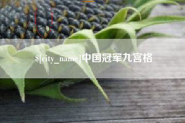临猗中国冠军九宫格