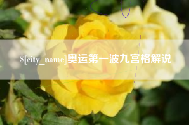 临猗奥运第一波九宫格解说