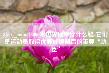 临猗5000米世界冠军穿什么鞋-它们是运动员取得优异成绩背后的重要“功臣”