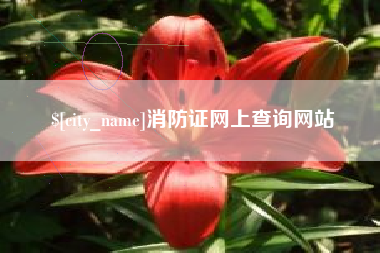 临猗消防证网上查询网站