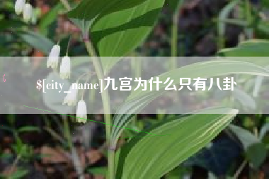 临猗九宫为什么只有八卦