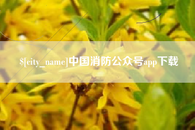 临猗中国消防公众号app下载