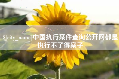 临猗中国执行案件查询公开网都是执行不了得案子