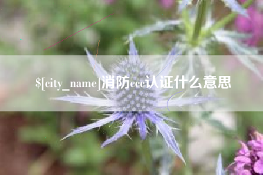 临猗消防ccc认证什么意思