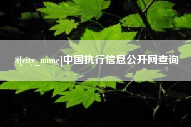 临猗中国执行信息公开网查询