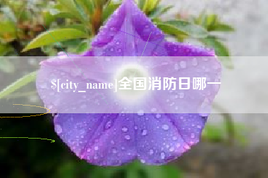 临猗全国消防日哪一