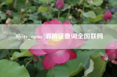 临猗消防证查询全国联网