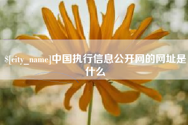 临猗中国执行信息公开网的网址是什么