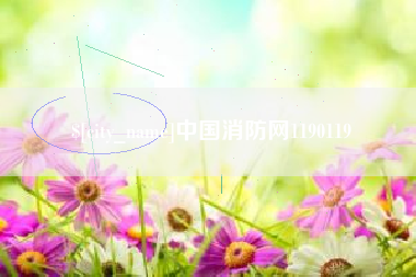 临猗中国消防网1190119