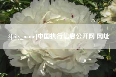 临猗中国执行信息公开网 网址