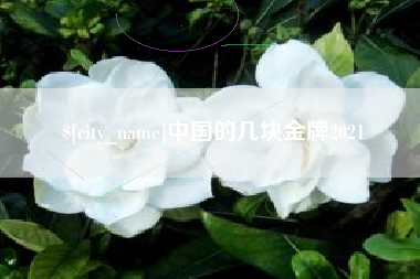 临猗中国的几块金牌2021