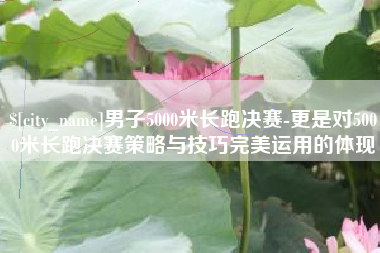 临猗男子5000米长跑决赛-更是对5000米长跑决赛策略与技巧完美运用的体现