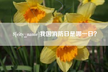 临猗我国消防日是哪一日？