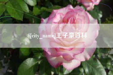 临猗王子豪百科