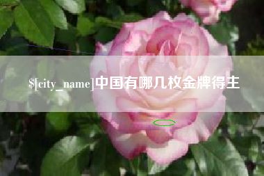 临猗中国有哪几枚金牌得主