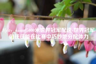 临猗5000米世界冠军配速-世界冠军们往往能在比赛中巧妙地分配体力