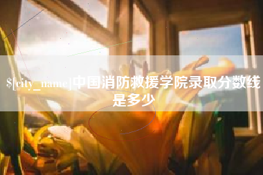 临猗中国消防救援学院录取分数线是多少