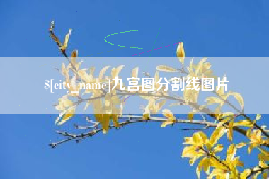 临猗九宫图分割线图片