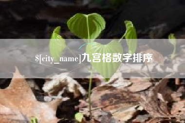 临猗九宫格数字排序