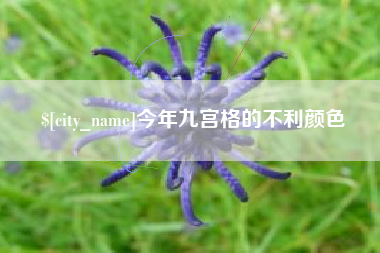 临猗今年九宫格的不利颜色