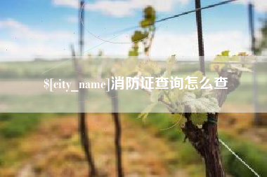 临猗消防证查询怎么查