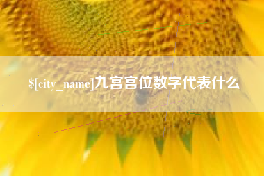 临猗九宫宫位数字代表什么