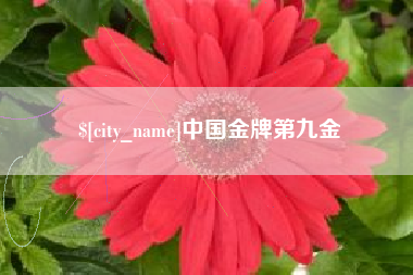 临猗中国金牌第九金
