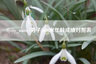 临猗男子5000米年龄成绩对照表