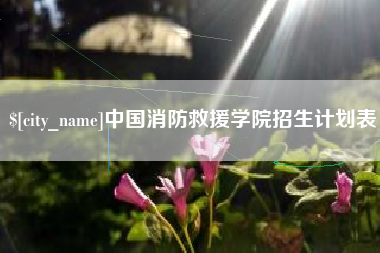 临猗中国消防救援学院招生计划表