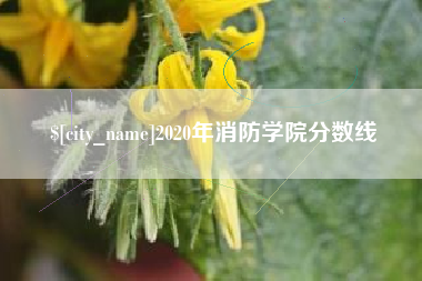 临猗2020年消防学院分数线