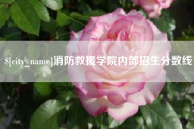 临猗消防救援学院内部招生分数线