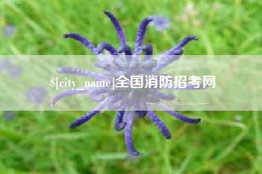 临猗全国消防招考网