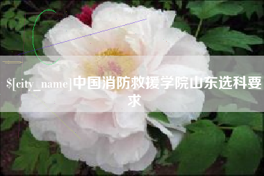 临猗中国消防救援学院山东选科要求