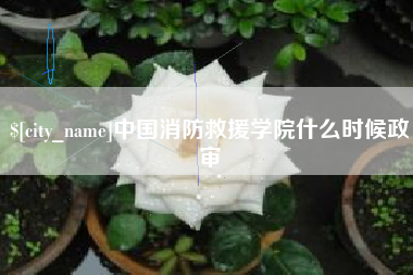 临猗中国消防救援学院什么时候政审