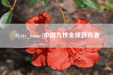临猗中国九枚金牌获得者