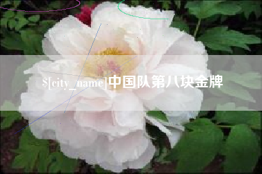 临猗中国队第八块金牌